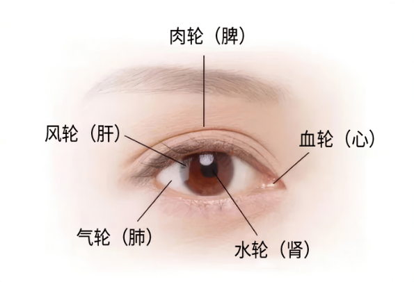 中式眼疗为什么越来越受家长关注  1